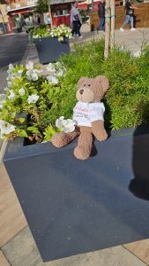 Getting prepared to smell the flowers