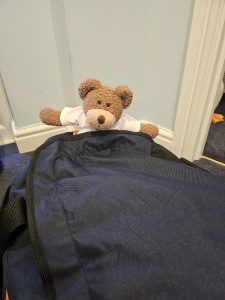 Tedwina hiding in the bag