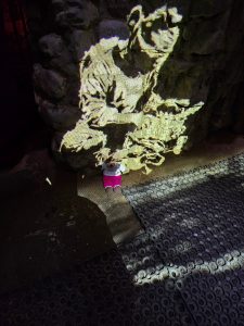 A presentation in the mine
