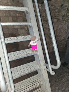 It is a long way up the ladder