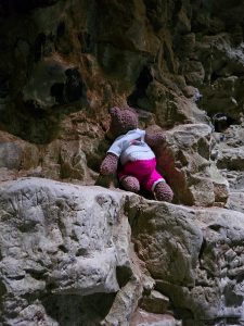 Tedwina trying to climb out of the mine