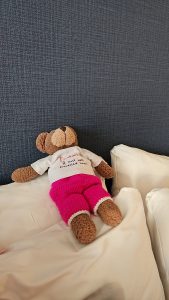 Tedwina checking out the pillows