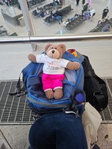 Tedwina at the airport
