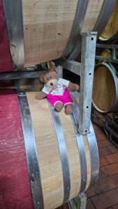 Tedwina wondering how she can get into the barrel