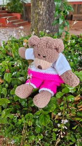 Tedwina trying to sniff some flowers