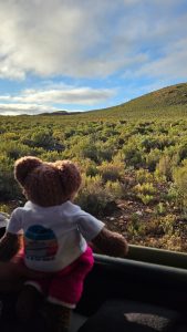 Tedwina has realised her mistake