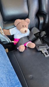 After a few nasty jolts and bumps, Tedwina is strapped in
