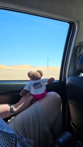 Travelling through the desert