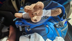 Tedwina ready for the trip out