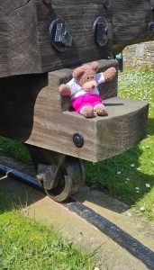 Tedwina goes for a ride