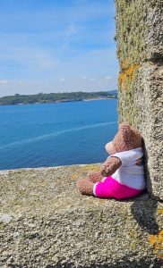 Tedwina sitting on the battlements looking out to sea