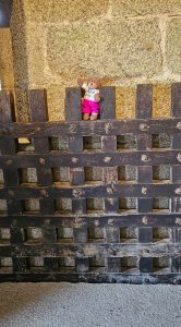 Tedwina stands on top of a portcullis