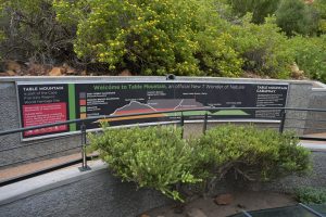 Welcome to Table Mountain