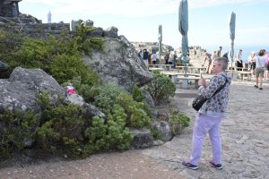Mum is taking Tedwina's picture
