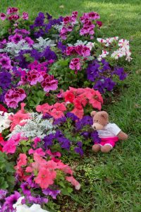 Ah, proper flowers at last