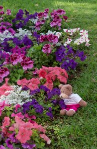 Tedwina Smelling the Flowers in Tenerife